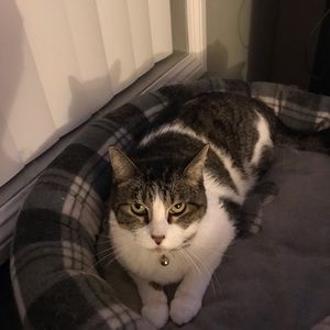 Meet your Posher, Sierra